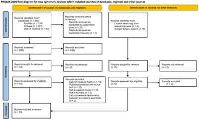 Blood-based biomarkers of frailty in solid tumors: a systematic review